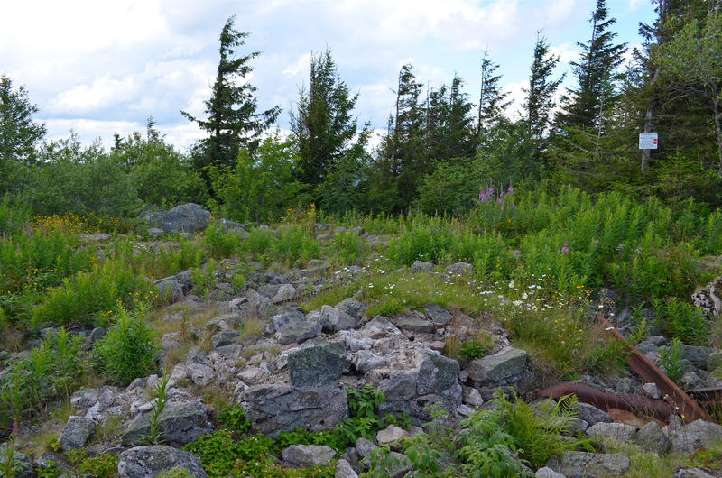 Balade ludique - la tête des Faux