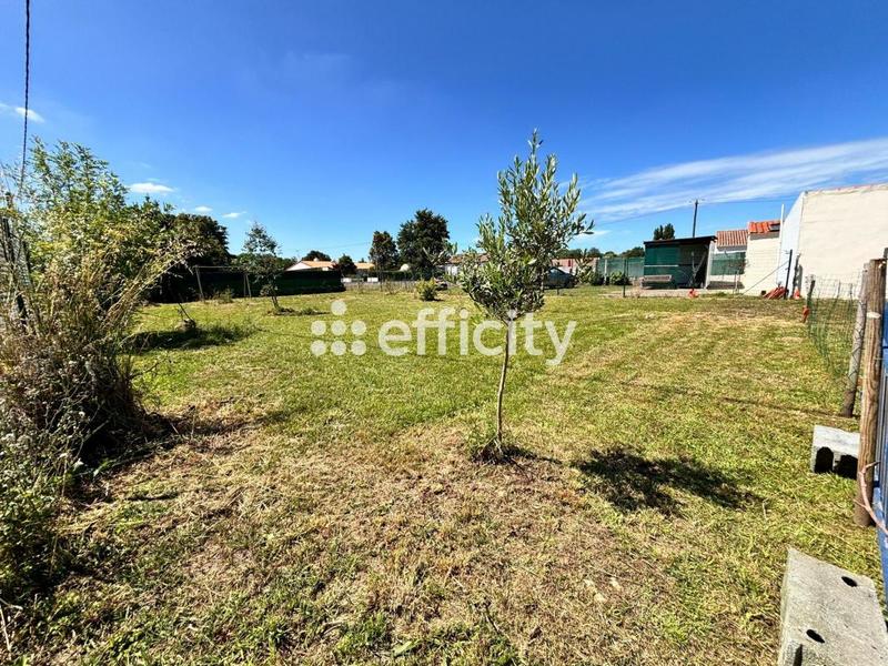 Terrain - 479 m²