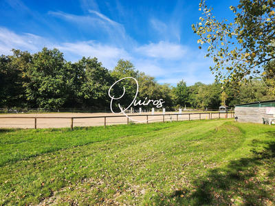 Maison - 300 m² - 10 pièces