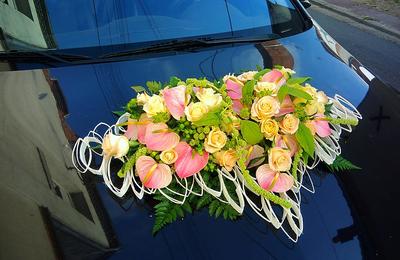 Les Fleurs de Florofka