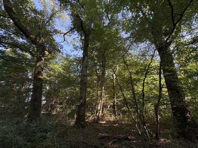 Terrain agricole - 1 400 000 m²