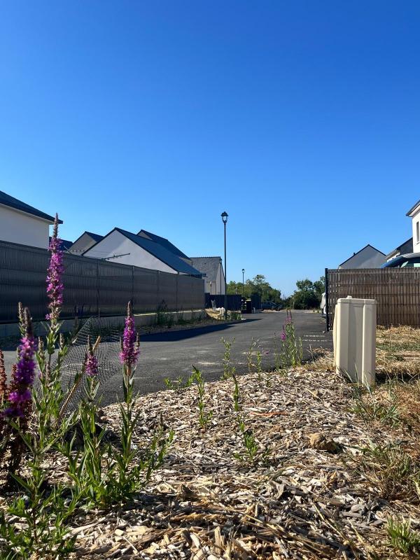 Maison - 495 à 499 m²