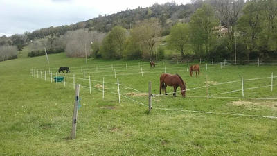 Maison - 830 m² - 20 pièces