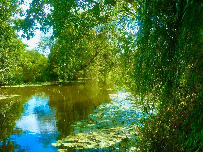 Bastide - 450 m² - 15 pièces