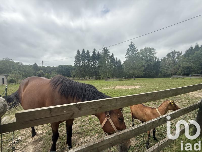 Maison - 132 m² - 6 pièces