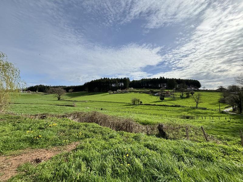 Maison ancienne - 160 m² - 6 pièces