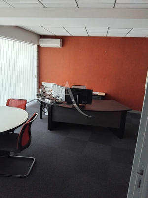Bureau - 223 m²