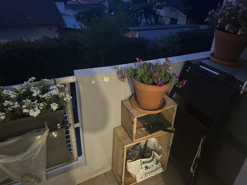 Appartement - 82 m² - 5 pièces