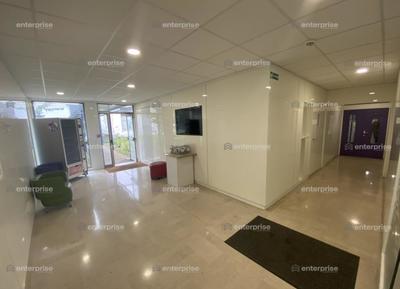 Bureau - 696 m²