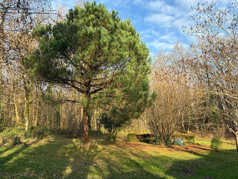 Maison - 110 m² - 3 pièces