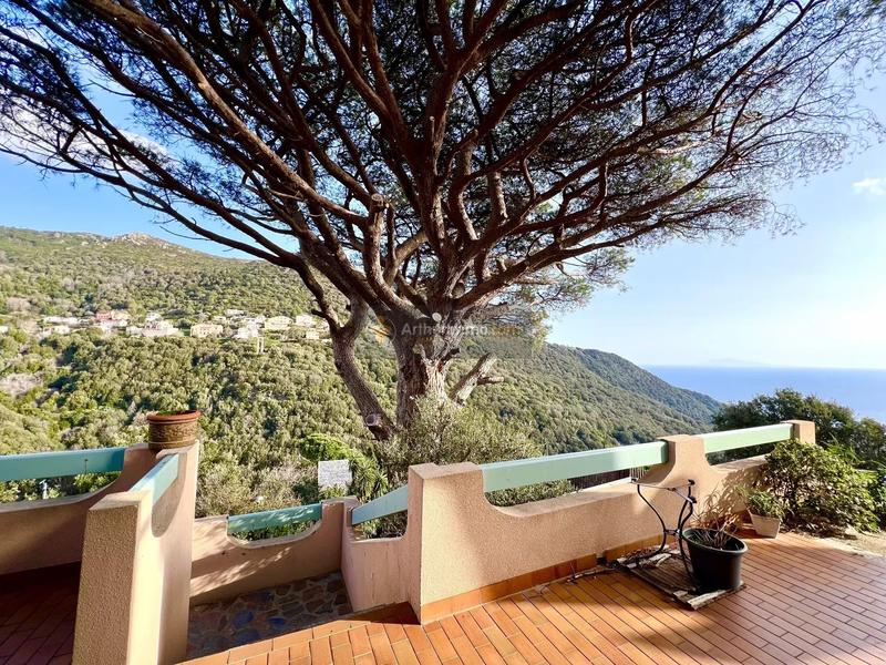 Maison - 164 m² - 6 pièces