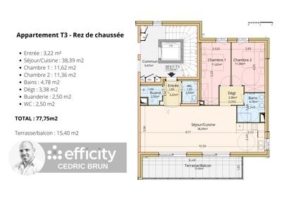 Appartement - 77 m² - 4 pièces