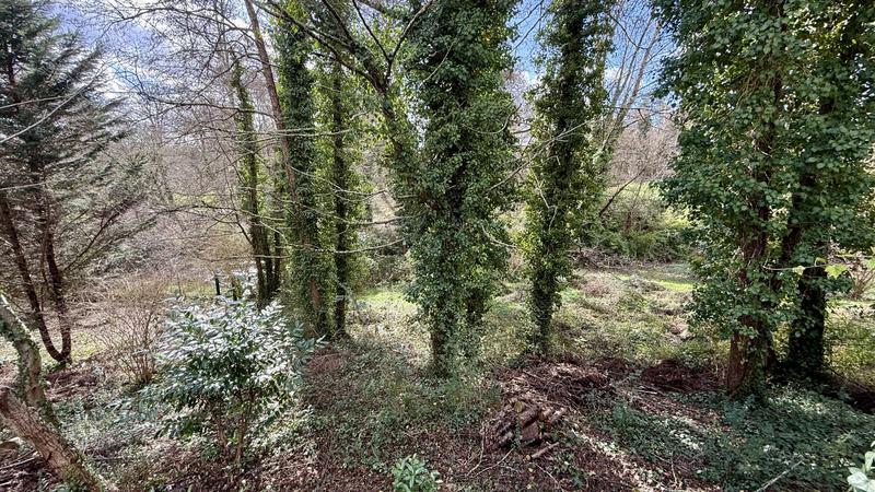 Maison ancienne - 167 m² - 5 pièces