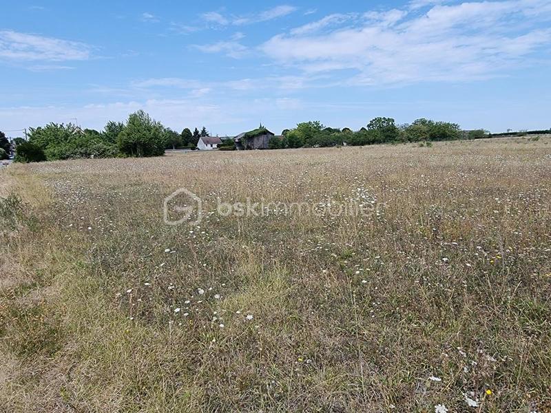 Terrain - 7 973 m²