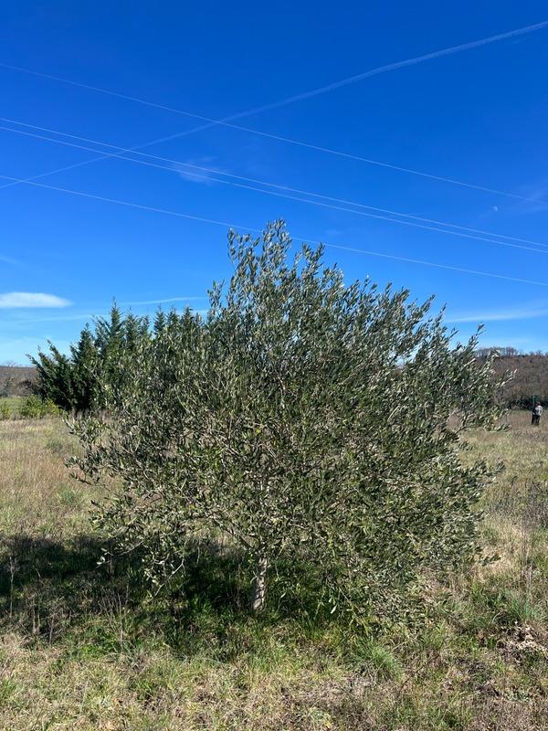 Terrain de loisirs - 2 600 m²