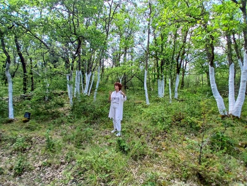 Exposition Art sur le Causse