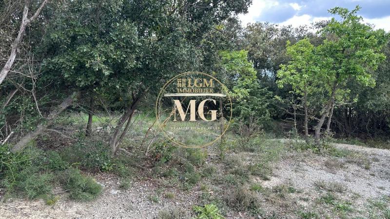 Terrain agricole - 21 030 m²