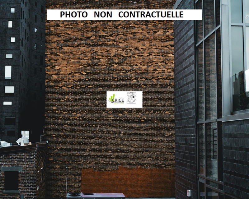 Local d'activités - 689 m²