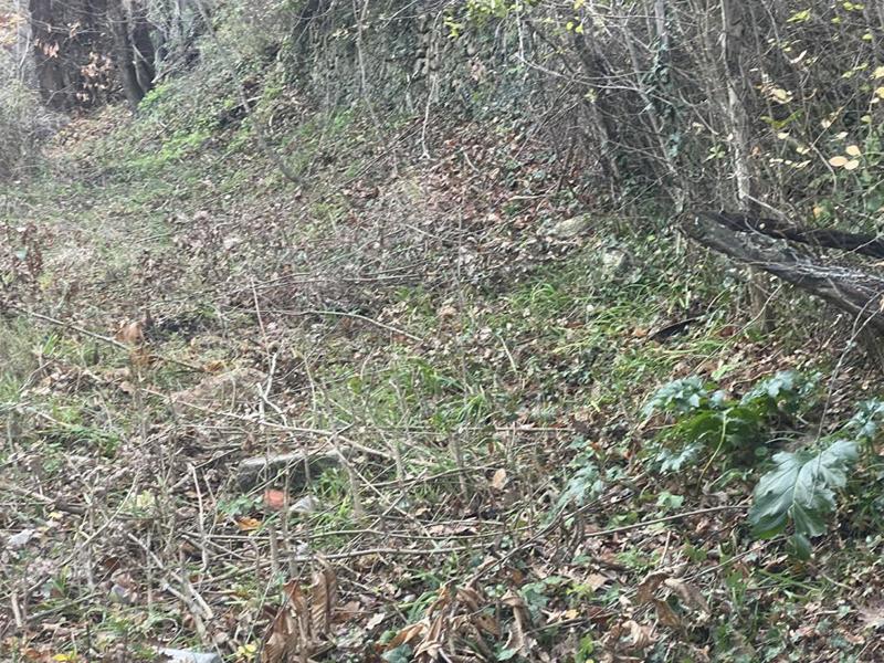 Terrain constructible - 2 000 m²