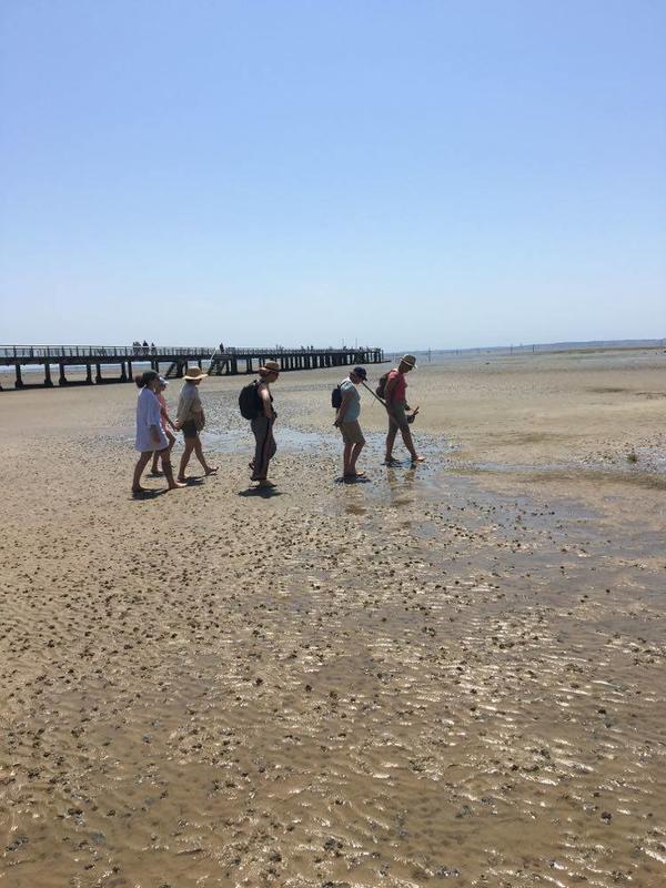 Les trésors de la plage à marée basse