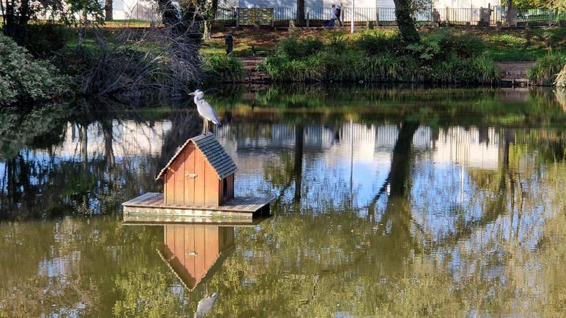 Appartement - 77 m² - 4 pièces