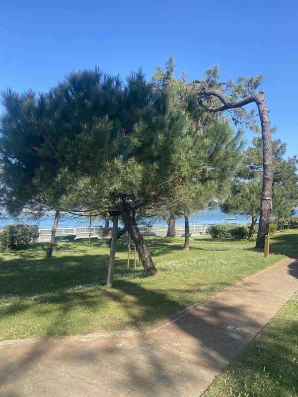 Studio - 23 m² - 1 pièce