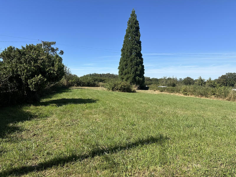 Maison - 136 m² - 5 pièces