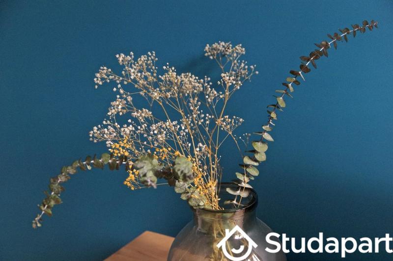 Appartement - 34 m² - 2 pièces