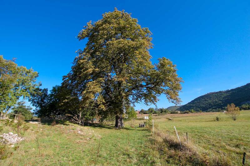 Mas - 131 m² - 6 pièces