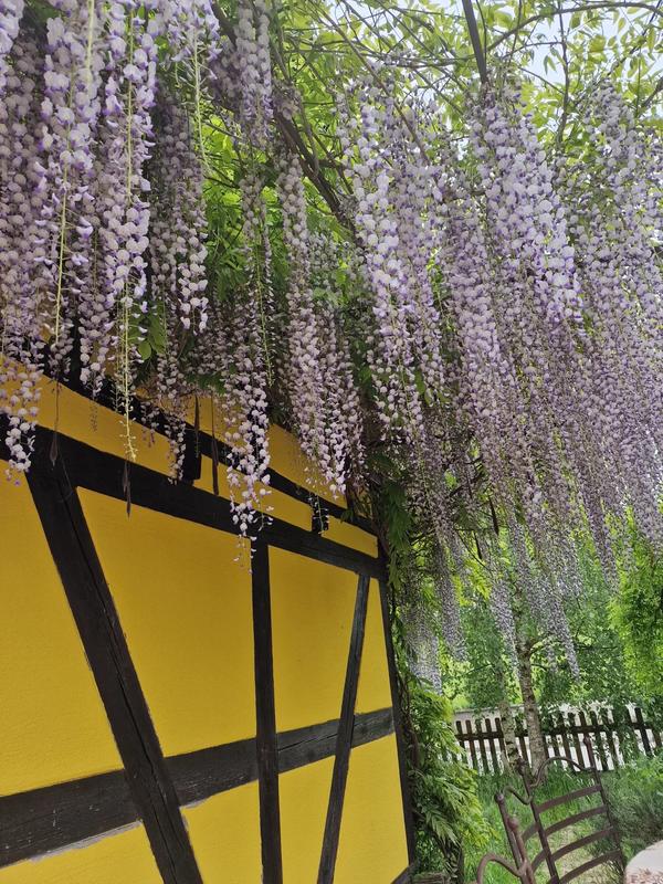 Maison de domaine équestre - 125 m² - 6 pièces