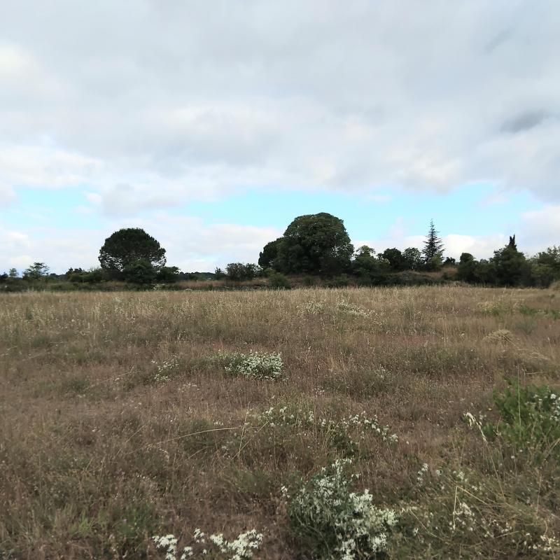 Maison - 93 m² - 5 pièces