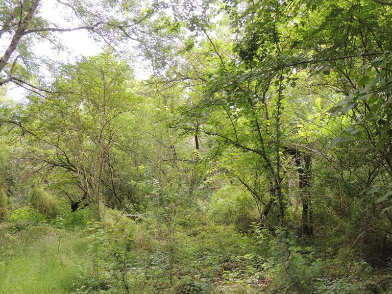 Terrain - 467 200 m²