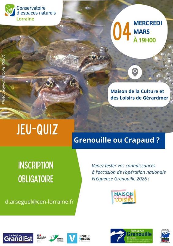 Grenouille ou crapaud ?