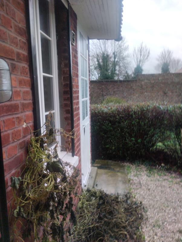 Maison - 115 m² - 3 pièces