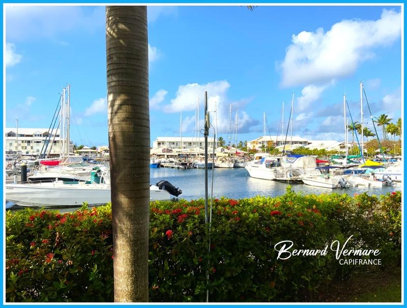 Appartement - 34 m² - 1 pièce