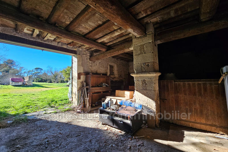 Maison en pierre - 630 m² - 10 pièces