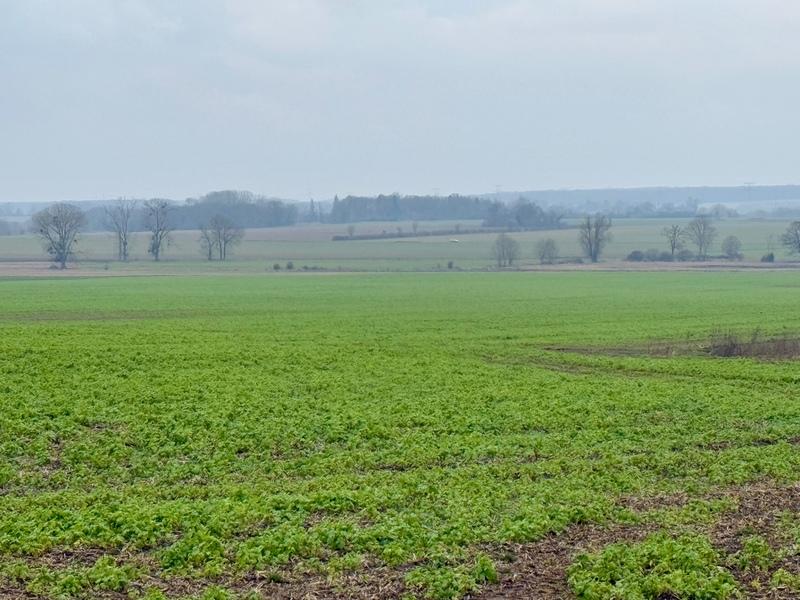 Terrain constructible - 500 m²