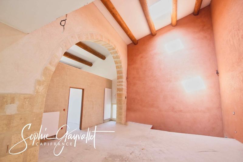 Maison - 550 m² - 9 pièces