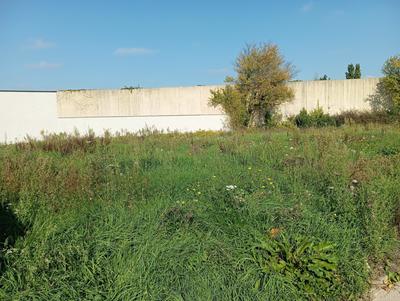 Terrain - 840 m²