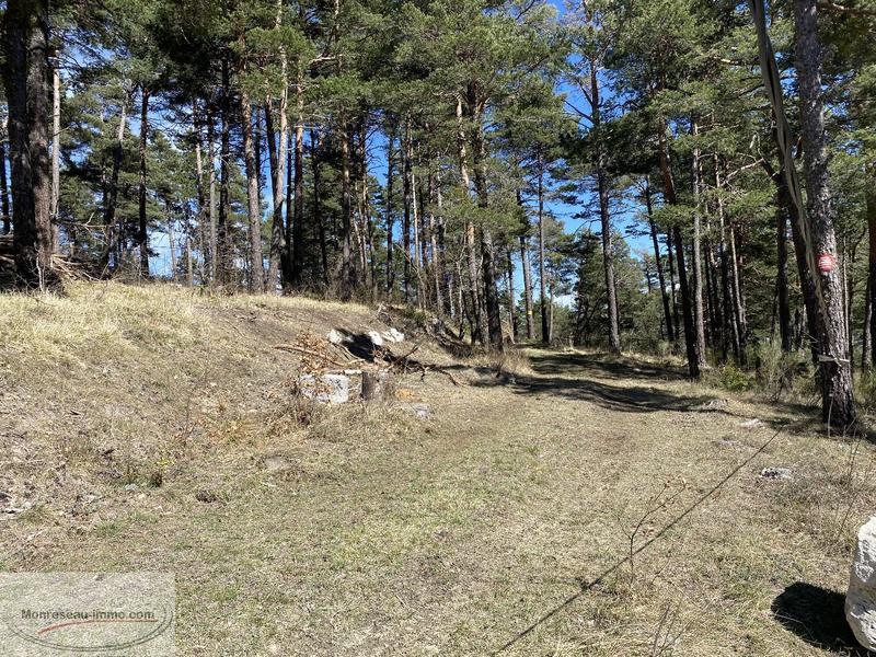 Terrain de loisirs - 16 596 m²