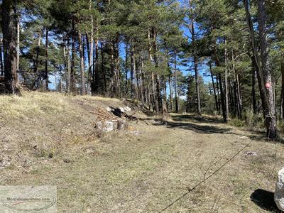 Terrain de loisirs - 16 596 m²