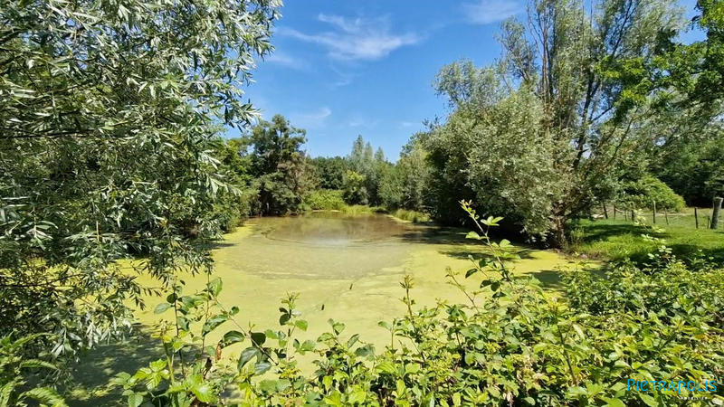 Ferme - 236 m² - 5 pièces