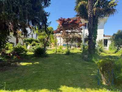 Villa - 319 m² - 14 pièces