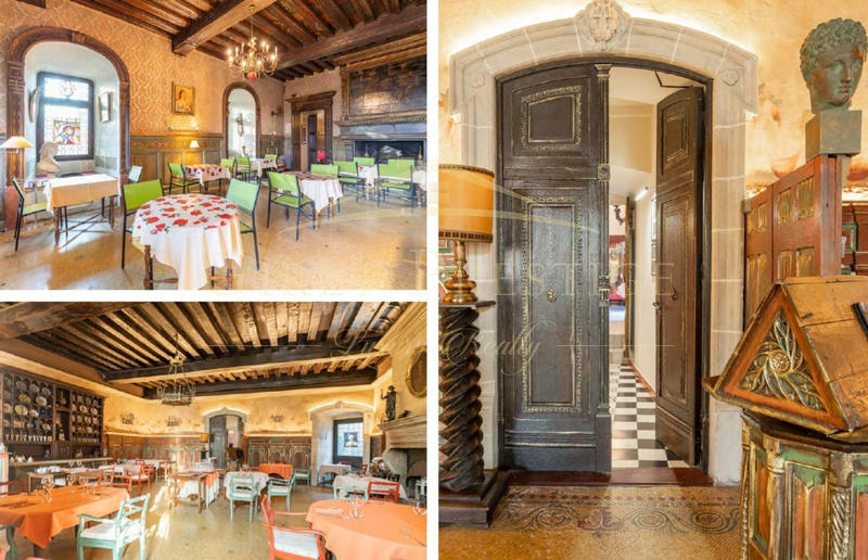 Château - 2 882 m² - 40 pièces