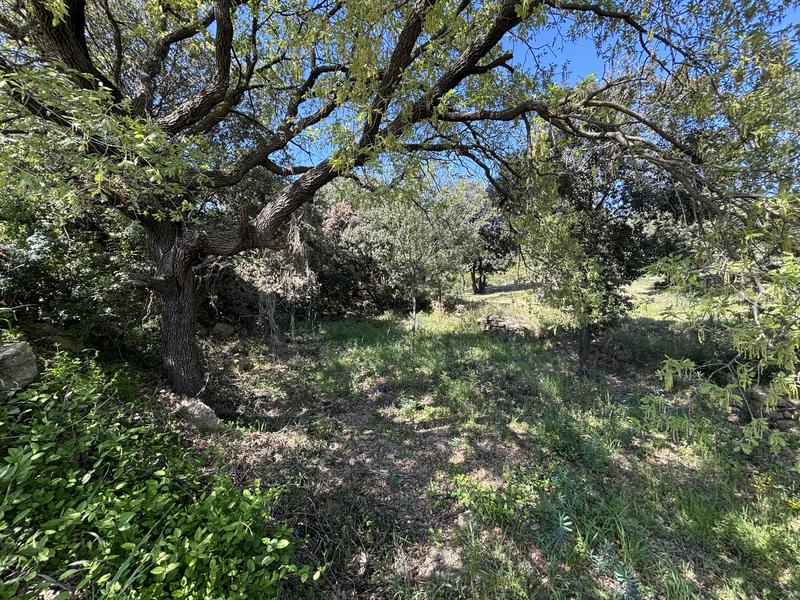 Maison - 114 m² - 5 pièces