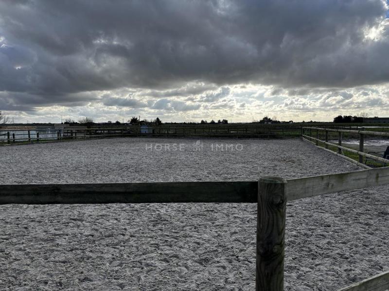 Gîte - 270 m² - 15 pièces