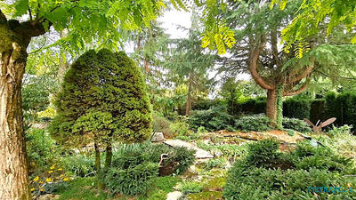 Maison ancienne - 278 m² - 9 pièces