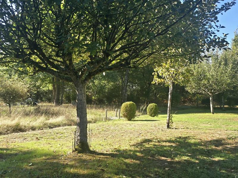 Maison contemporaine - 305 m² - 9 pièces