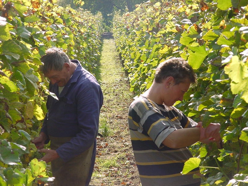 Vigneron d'un jour - Domaine Specht