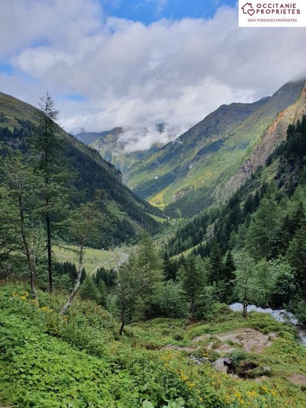 Château - 810 m² - 11 pièces